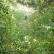 Wanderer in grüner Wiesenlandschaft bei Sonnenschein