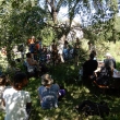 WanderInnen sitzen unter einem Baum im Schatten auf einer Wiese