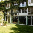 Mit Efeu bewachsene Hausfassade mit großen Glasfenstern