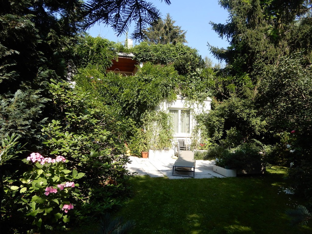 Dicht grün bewachsenes Haus mit grünem Garten und Liegestühlen