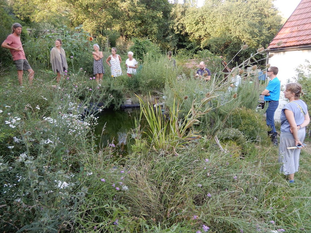 Menschengruppe steht rund um einen dicht bewachsenen Teich