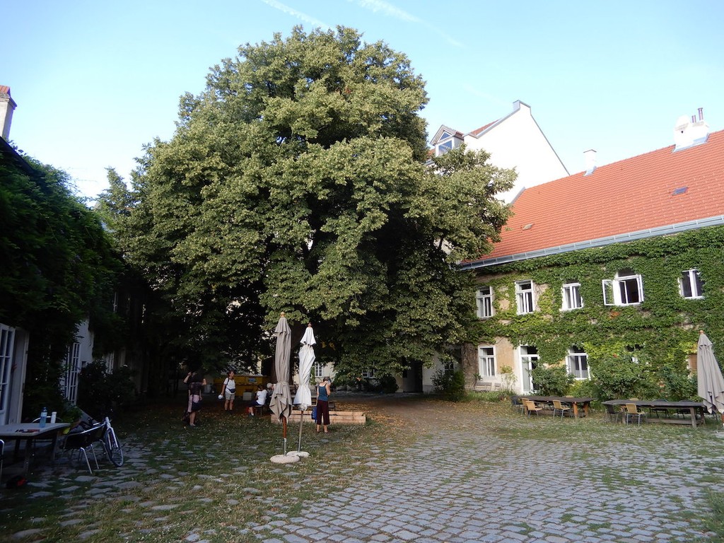 Einzelne Personen in Innenhof vor Efeubewachsener Fassede unter großem altem Baum